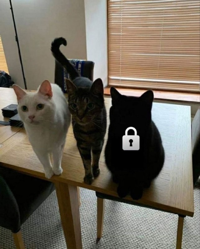 角色未解锁from 猫猫窝🐈🐈‍⬛️