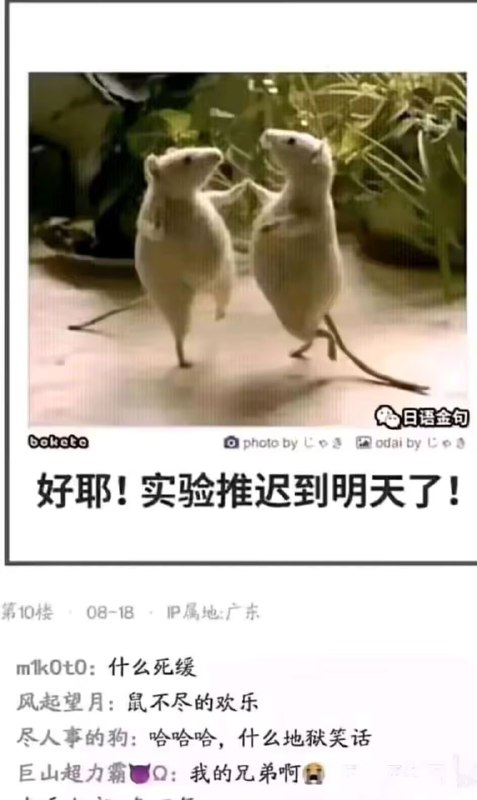 via 7号沙雕网友