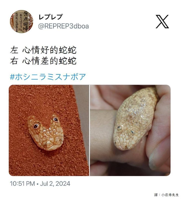 from 淙