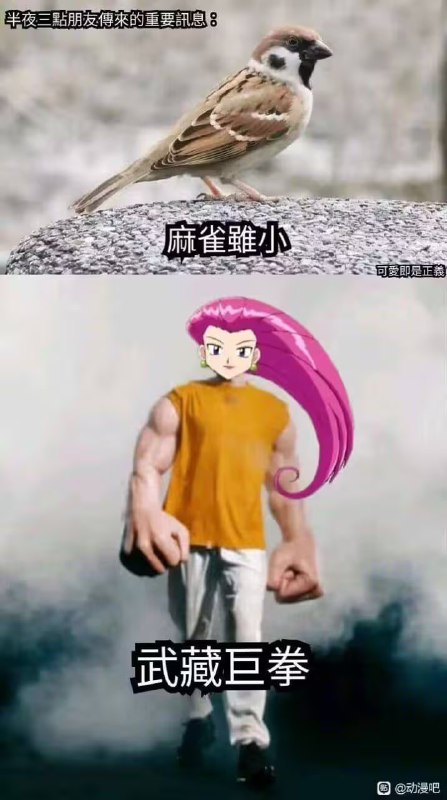 via 油菜花终结者