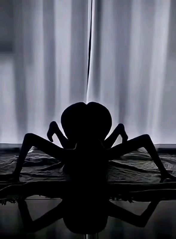via 油菜花终结者