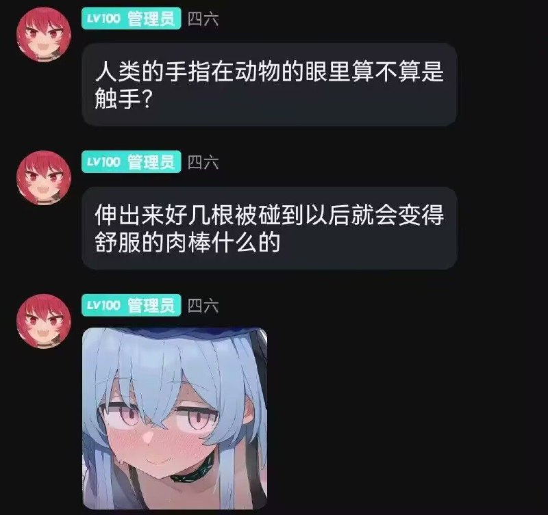 from 猫猫窝🐈🐈‍⬛