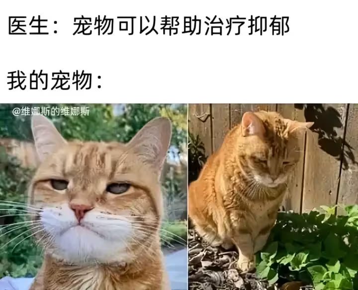 via 油菜花终结者