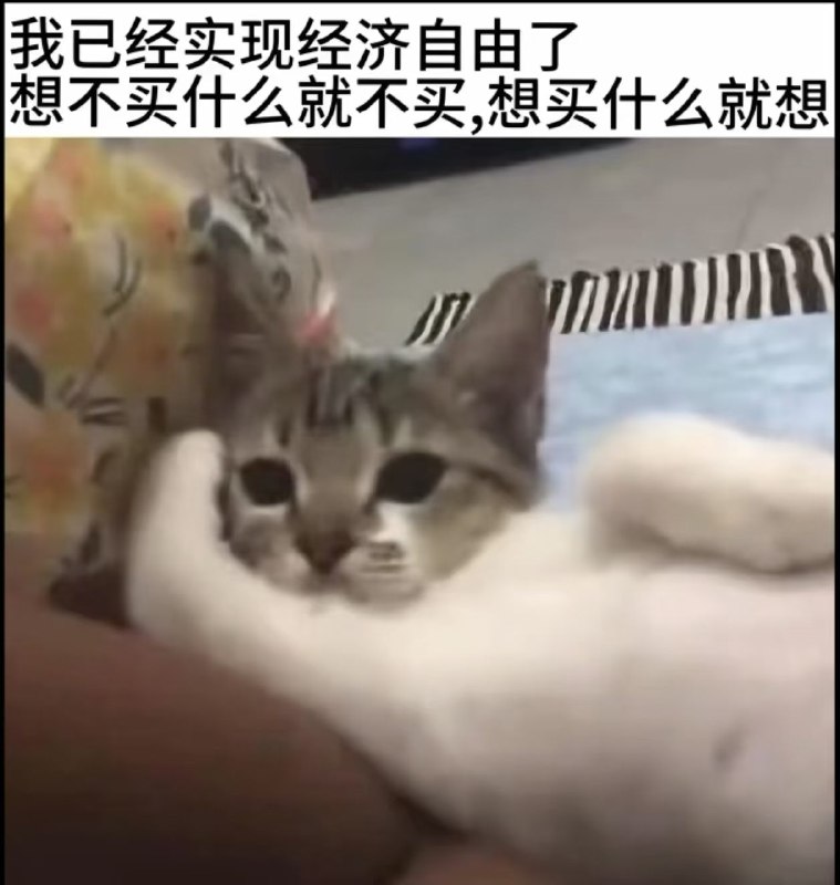 from ANe什么都发 via electrifrom ANe什么都发 via electri