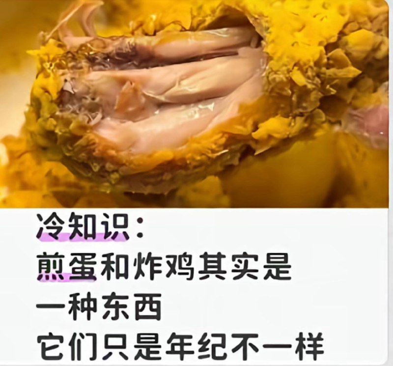 via 意大利面
