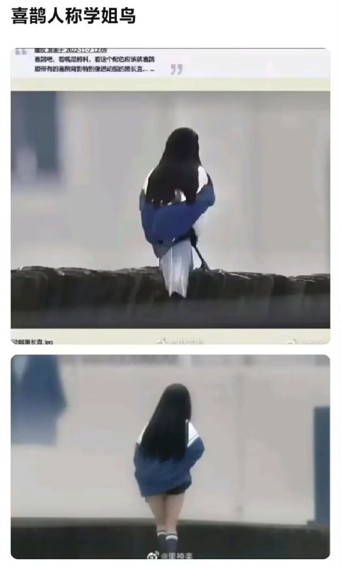 from 艾米 莉亚