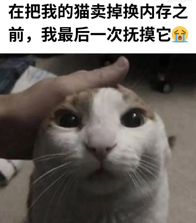 via Mr.Yan
