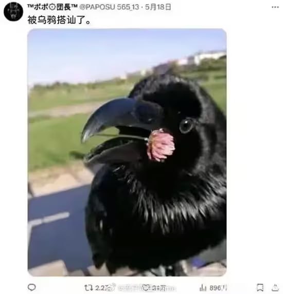 via 8号沙雕网友