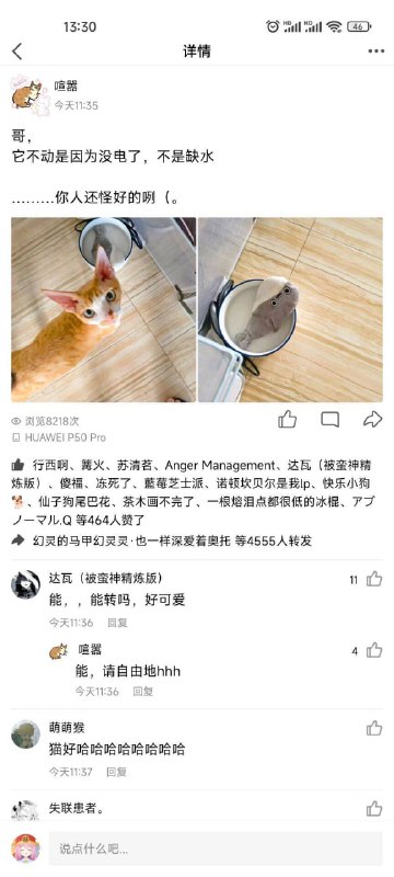 from 每日无数猫