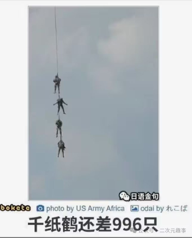 、、、、via 7号沙雕网友