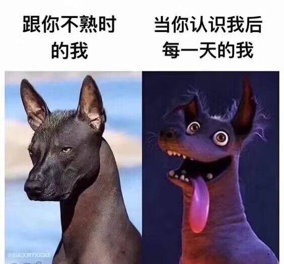 via my nbkls
