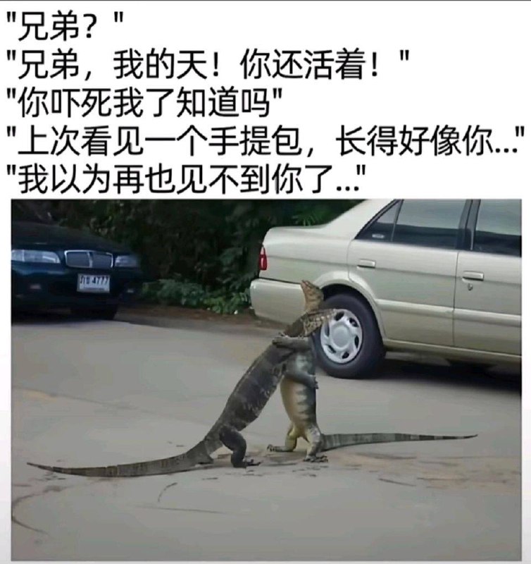 via 犯罪嫌疑人张某