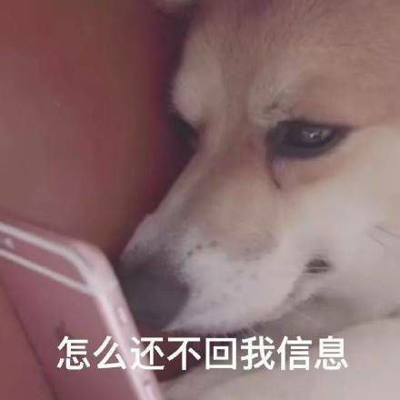 一组表情包via Dicy Frank一组表情包via Dicy Frank