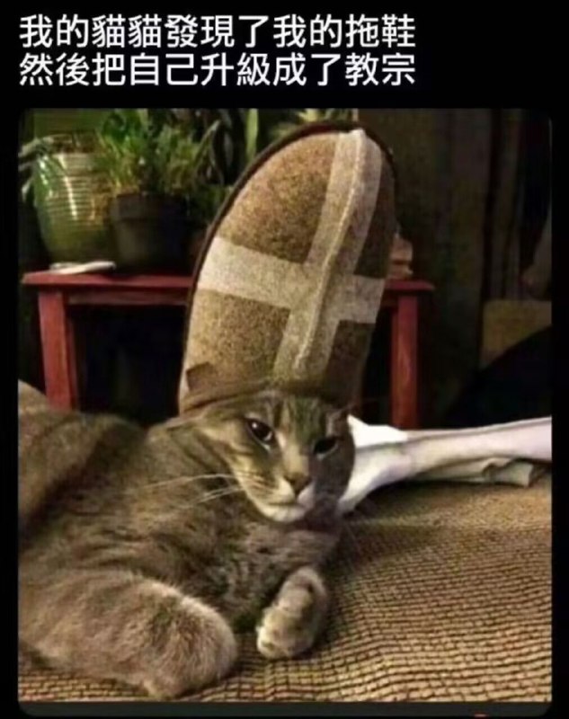 from 什麼都來點 via DECADE