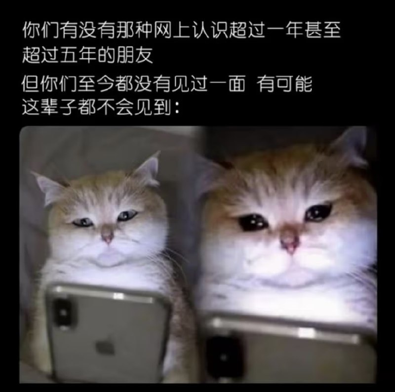 via 7号沙雕网友