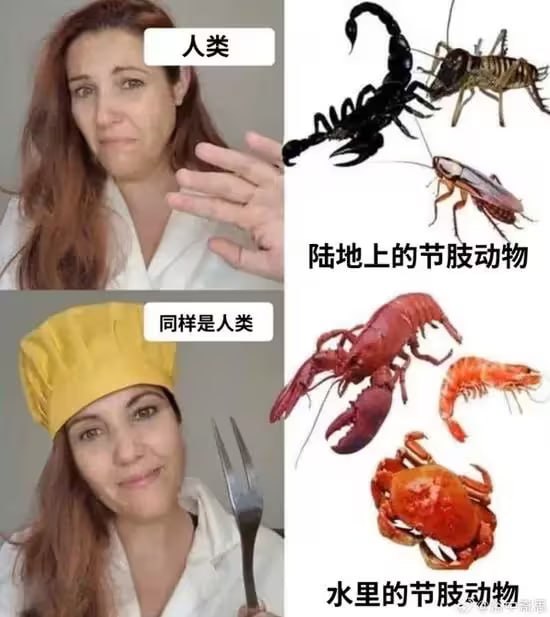 via 7号沙雕网友