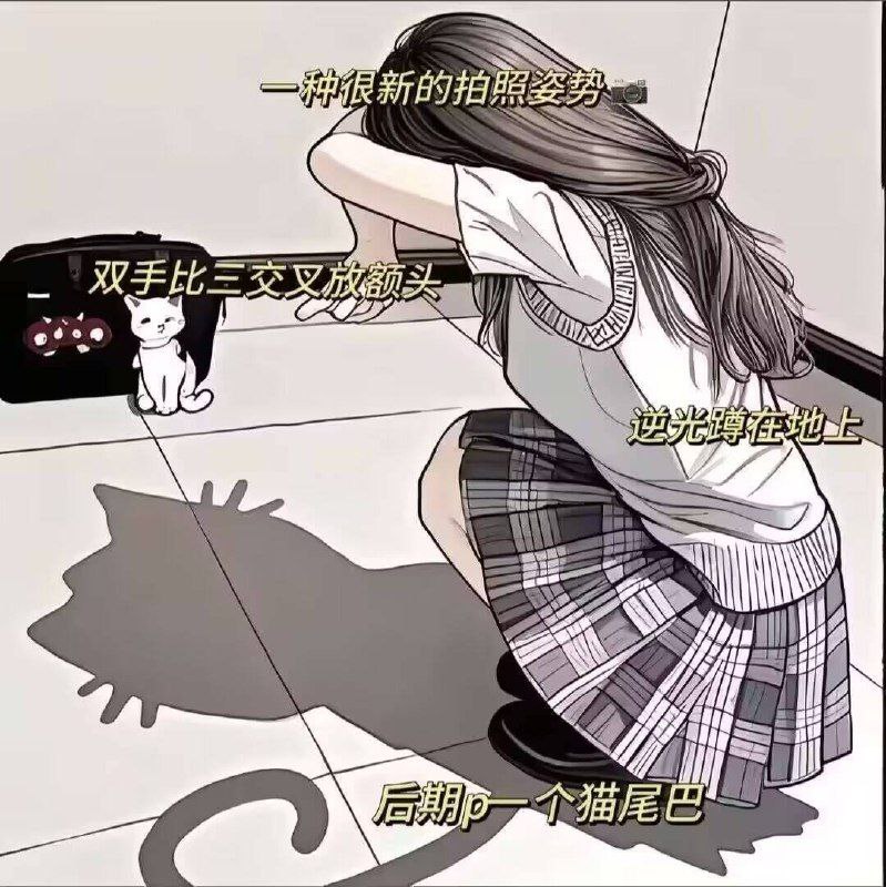 from 猫猫窝🐈🐈‍⬛from 猫猫窝🐈🐈‍⬛