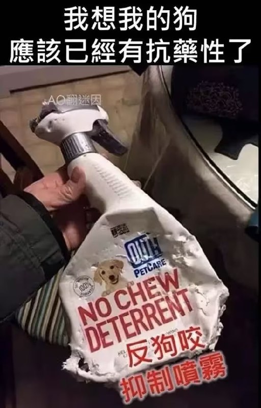 via 7号沙雕网友