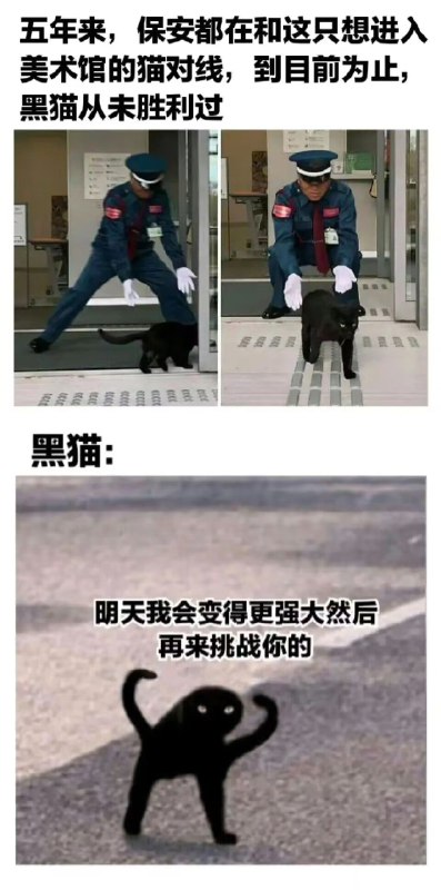 from 猫猫窝🐈🐈‍⬛