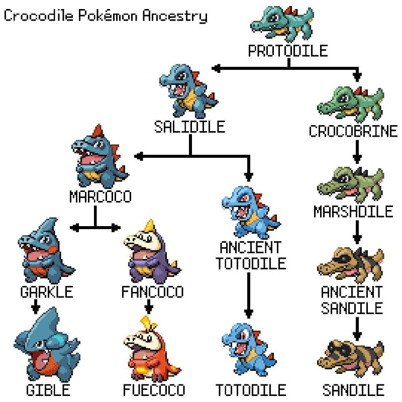 寶可夢演化論~#歡樂梗圖區 #寶可夢from UMD(兔鼠)的謎島觀察日記(NSFW)