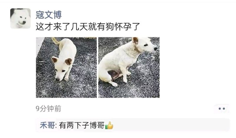 via 7号沙雕网友