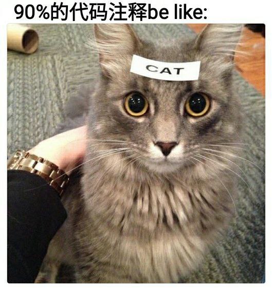 from 猫猫窝🐈🐈‍⬛️