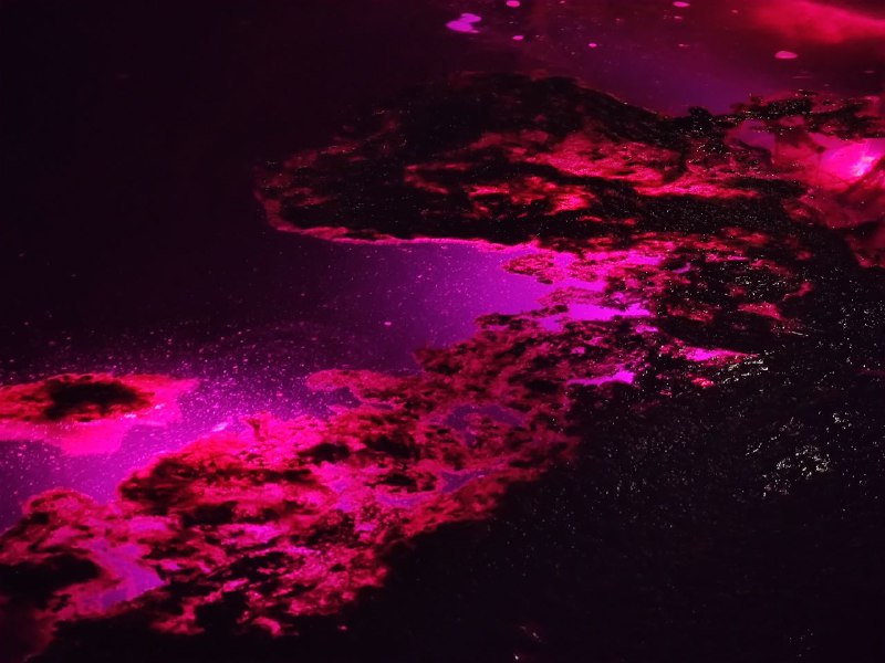 路过一个水池，发现射灯附近有一些絮状水藻，看起来像星云via 霁寒霄路过一个水池，发现射灯附近有一些絮状水藻，看起来像星云via 霁寒霄