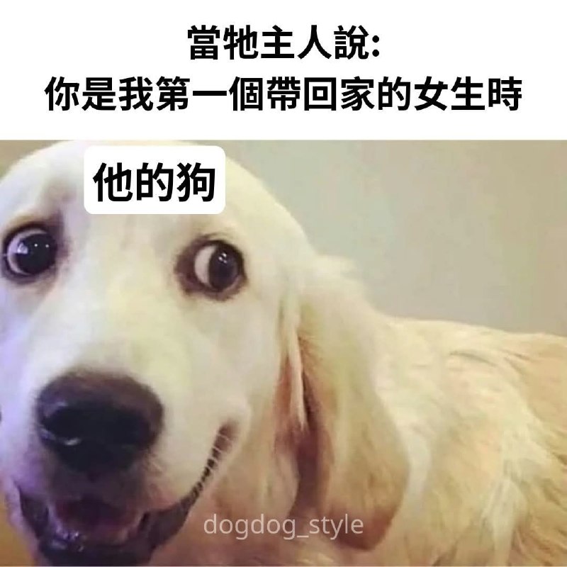 from 廣告狗死媽 via DECADE