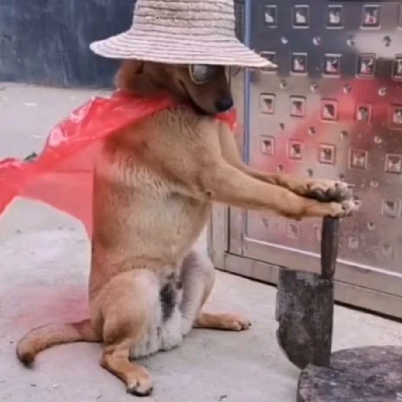 via 兔 小兔via 兔 小兔