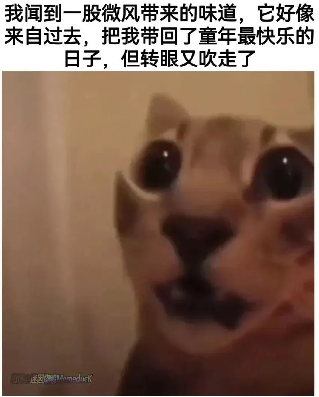 from Anzu什么都发 via electri