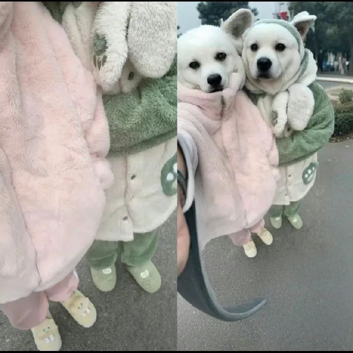 离谱的AI扩图🤣离谱的AI扩图🤣