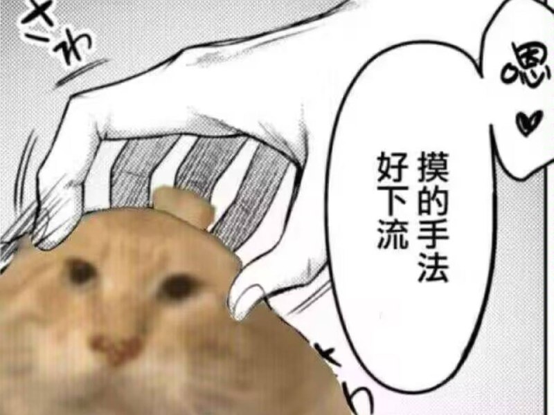 via 犯罪嫌疑人张某