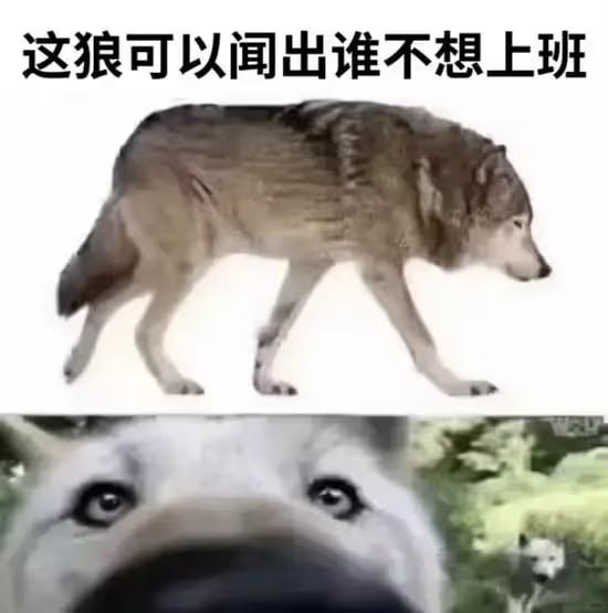 via 8号沙雕网友