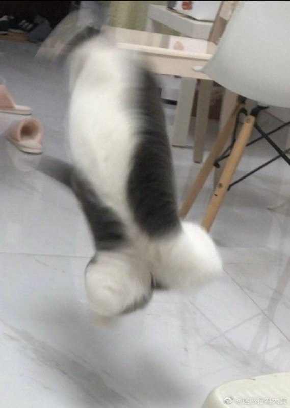 via 虹 夏