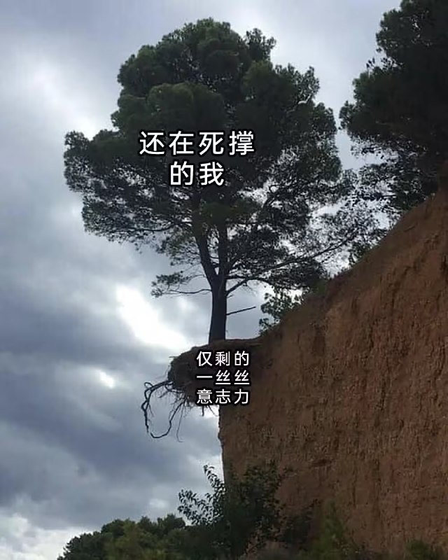 via 7号沙雕网友
