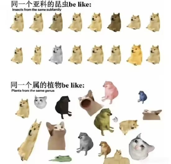via 6号沙雕网友