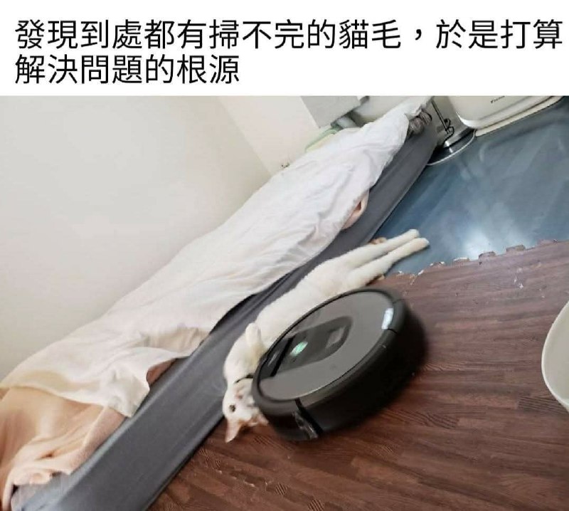 from 什麼都來點 via DECADE