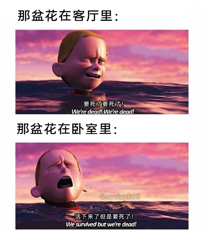 via 7号沙雕网友
