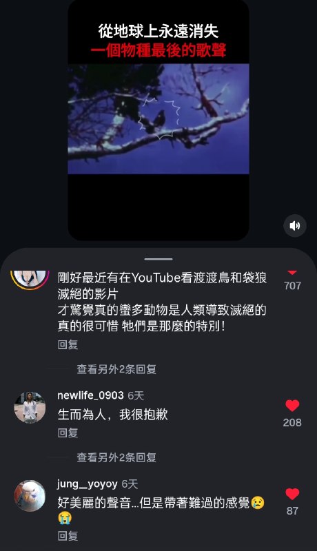 😭😭😭😢😢😢现在听到的漂亮鸟鸣，如今在地球任何地方，都已经无法亲耳听到了