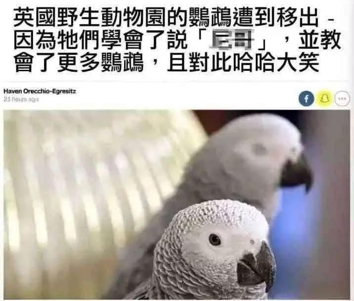 敵視尼樂園from 發點囧圖 via DECADE