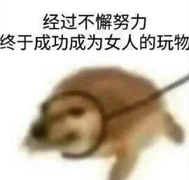 via 每日提肛小助手 今天你提了嘛