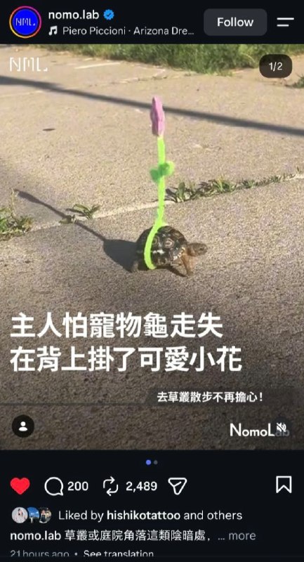 好可爱