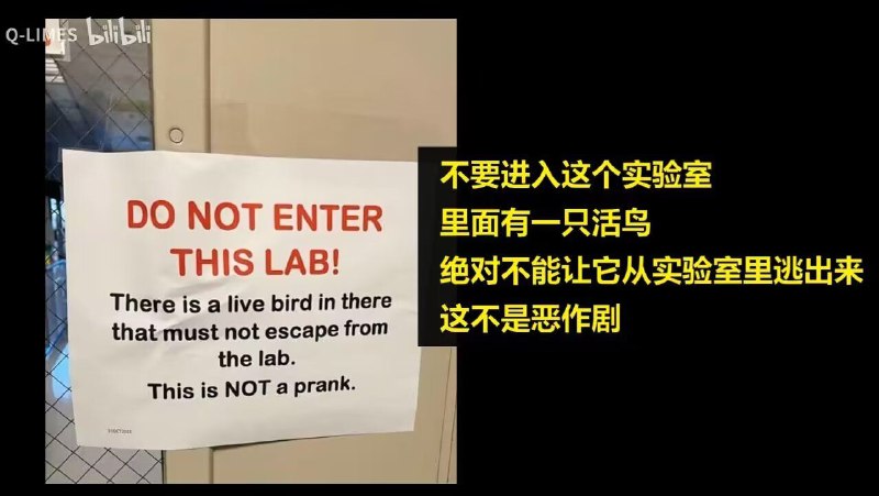 一些可怕且危险的标语一些可怕且危险的标语