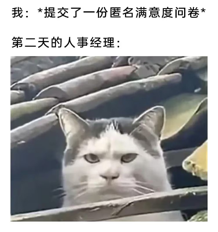 via 7号沙雕网友