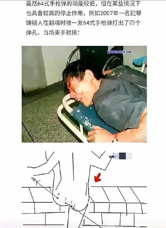屁股上明明有五个孔