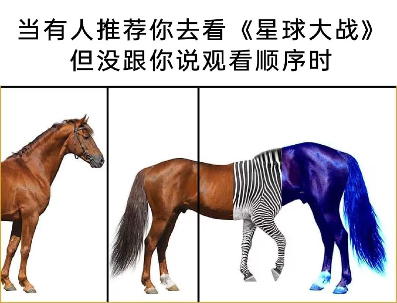 via 6号沙雕网友