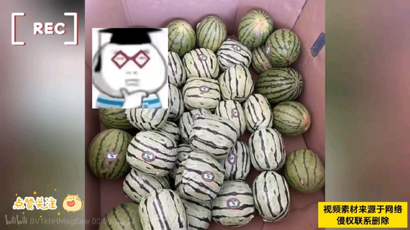 😅from 平壤卫视😅from 平壤卫视