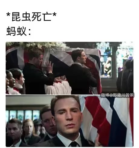 via 7号沙雕网友