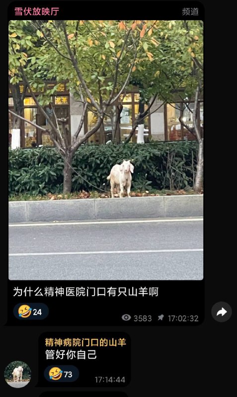 来源