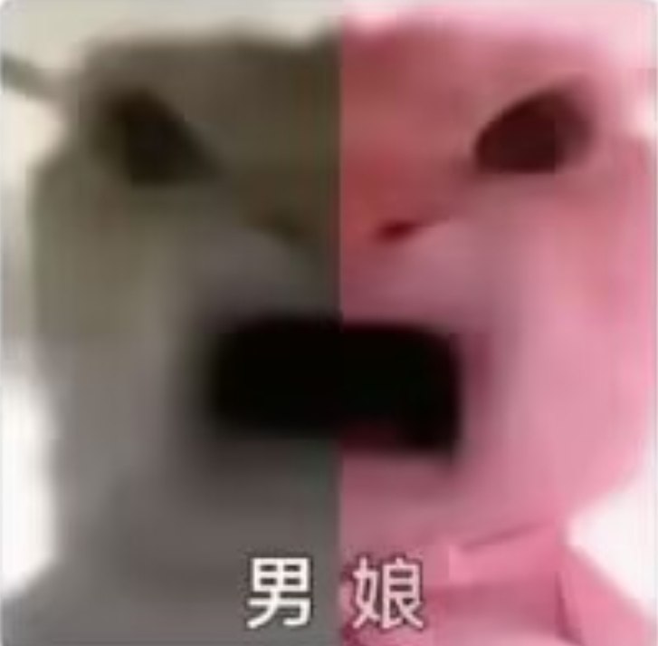 via フィリア グレイvia フィリア グレイ